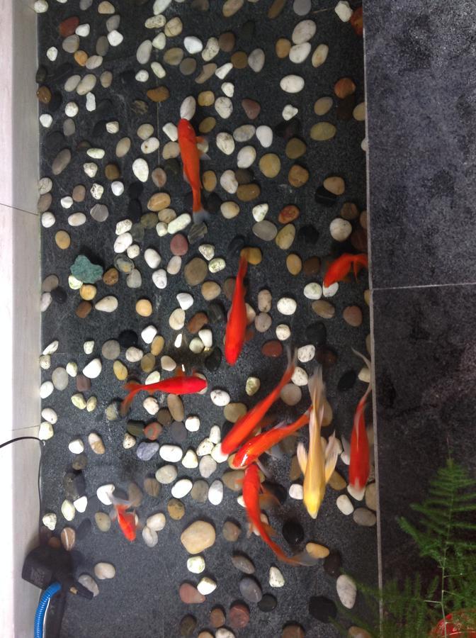 Zhantan Courtyard Hotel Beijing Exterior foto